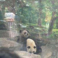 評論圖片 6