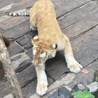評論圖片 7