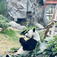 評論圖片 1