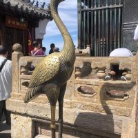 評論圖片 8