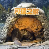 評論圖片 3