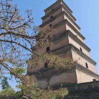 評論圖片 2