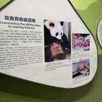 評論圖片 6