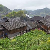 評論圖片 2