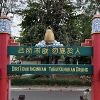 評論圖片 4