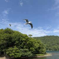 評論圖片 5