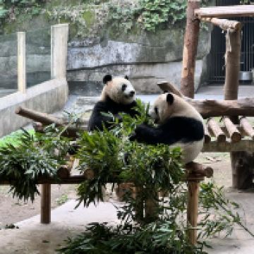 評論圖片 6