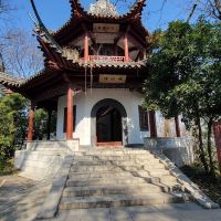 評論圖片 5