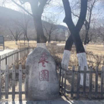 評論圖片 4