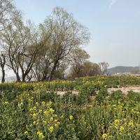 評論圖片 7