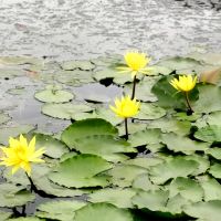 評論圖片 6