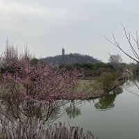 評論圖片 1