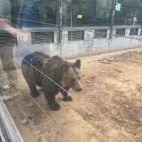 評論圖片 2