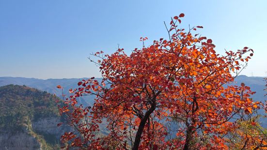 青天河裝修，做不了船，紅恭弘=叶 恭弘節期間停車場爆滿，沒有