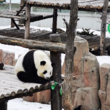 評論圖片 3