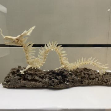 評論圖片 2
