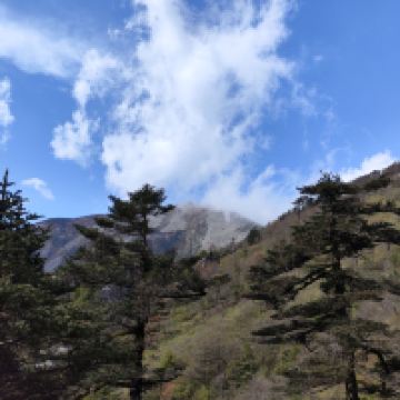評論圖片 9