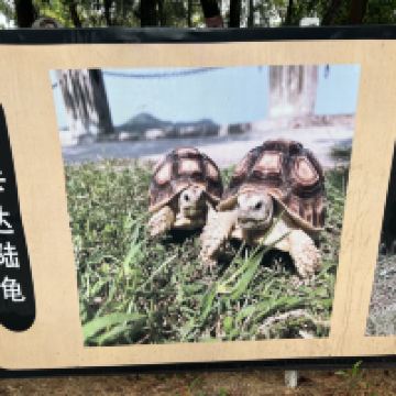 評論圖片 7