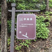 評論圖片 6