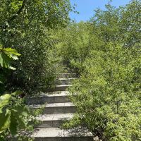 評論圖片 4