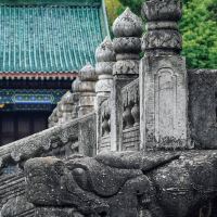 評論圖片 8