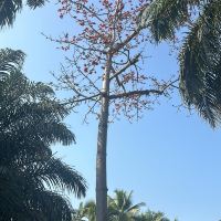 評論圖片 1