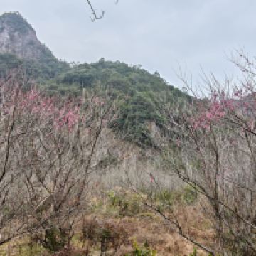 評論圖片 8