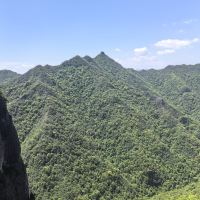 評論圖片 2
