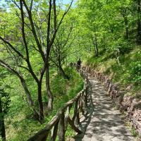 評論圖片 4
