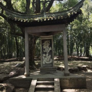 評論圖片 2