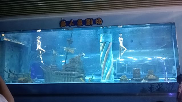 de zhou hai yang guan ( de bai ao lai guang chang dian )