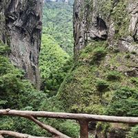 評論圖片 3