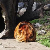 評論圖片 4