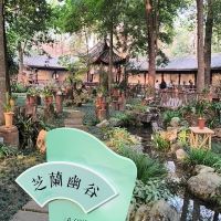 評論圖片 2