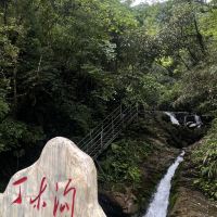 評論圖片 1