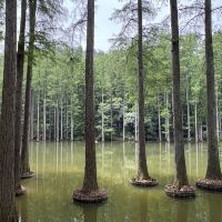 評論圖片 4