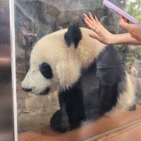 評論圖片 3