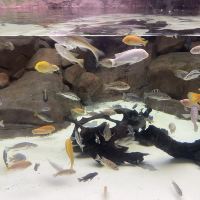 評論圖片 4