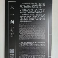 評論圖片 7