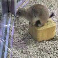 評論圖片 1