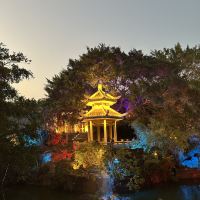 評論圖片 2