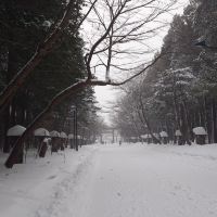 評論圖片 2