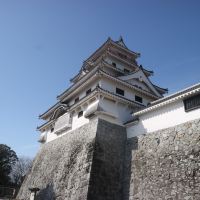 評論圖片 1