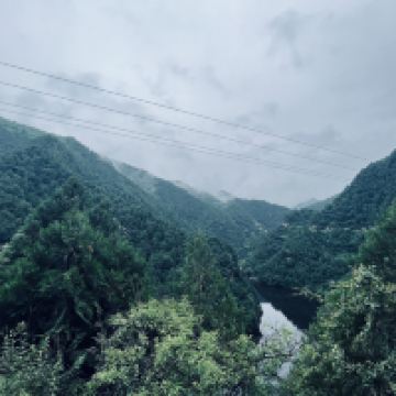 評論圖片 1