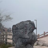 評論圖片 4
