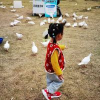 評論圖片 1