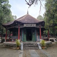 評論圖片 7