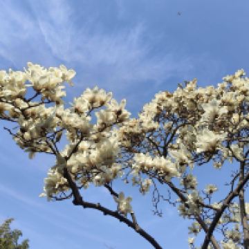 評論圖片 4