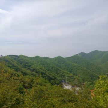評論圖片 4