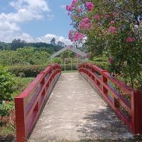 評論圖片 6